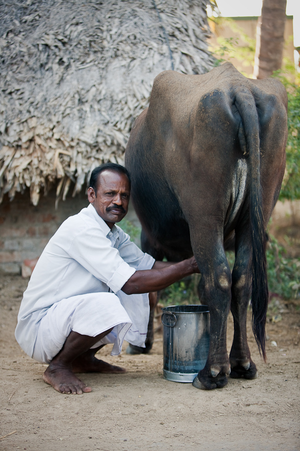 India Tamil Nadu Micro Loans agriculture Education charity Kanchipuram