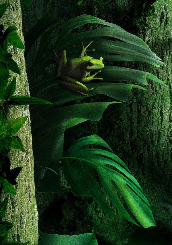 frog jungle childrenbook green finart mixedmedia fairytale Poetry  SUREAL girl