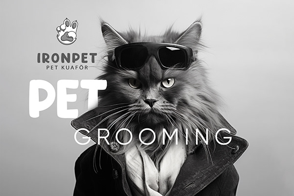 Pet Grooming, Logo | Branding | Фирменный Стиль