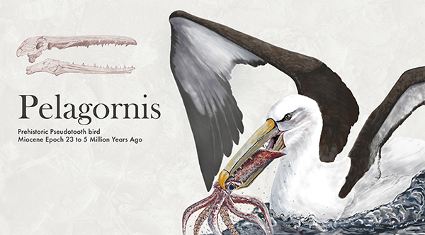paleontology prehistoric sea monster marine life sea bird paleoart science illustration