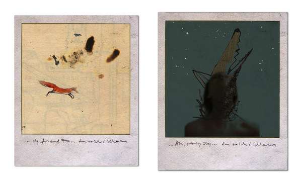art personal photo Polaroids drawings watercolor color animals