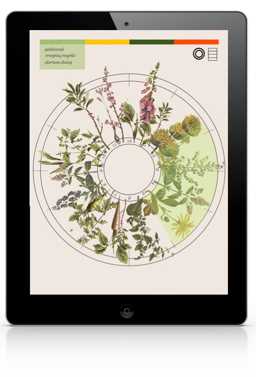 botanical field guide Webdesign UI ux