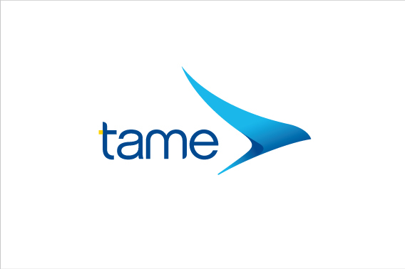 tame airline modern identity fresh Airpline Ecuador SKY uniform uniforms blue bird condor best strategy