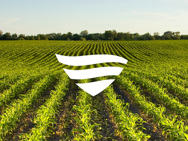 Agro  raphael peaga agrobras Brasil Brazil industrie logo Logotype