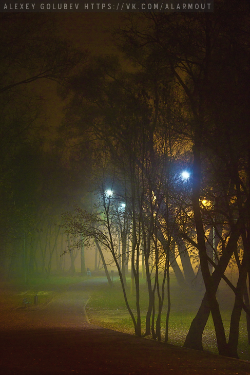 fog night city river mist winter