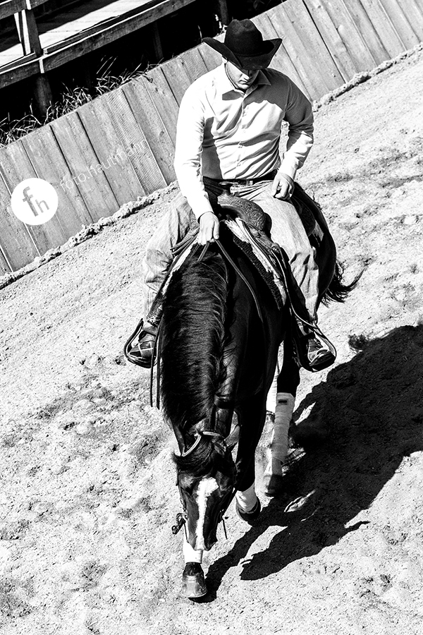 horse reining western sports western riding riding cowboy quarter horse cow work sliding stop spin aqha equine photography Horse Photography bird perspective equestrian
