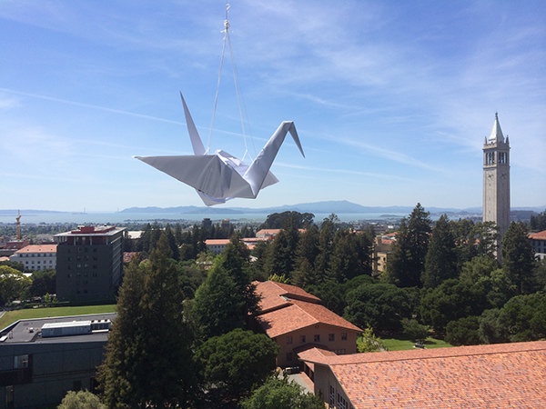 Oragami crane berkeley giant