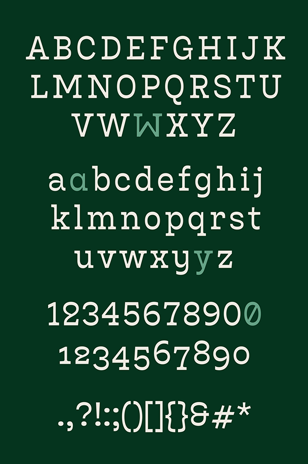 Bardamu: Slab Serif Type