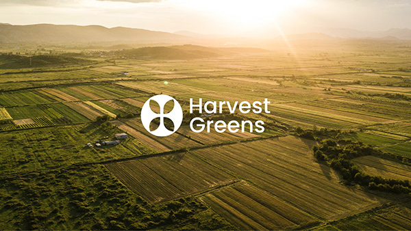 Harvest Greens - Visual Identity