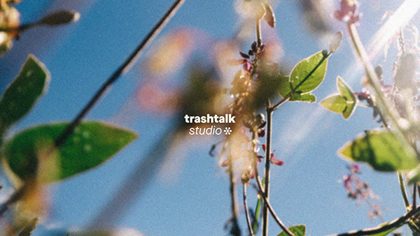 Branding for trashtalk*studio
