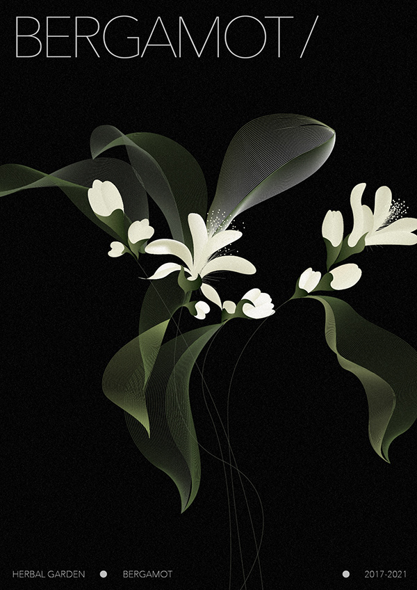botanical Digital Art  Flowers Herb plants