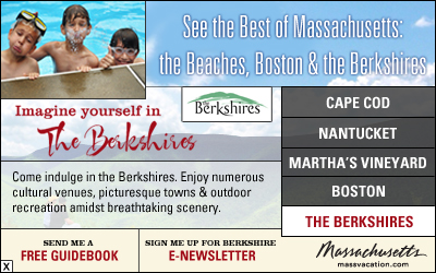 Massachusetts CEO ads design Flash rich-media ads
