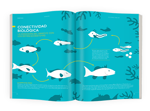beach residente magazine blue green water fish Ecology city Maya Johnny page print
