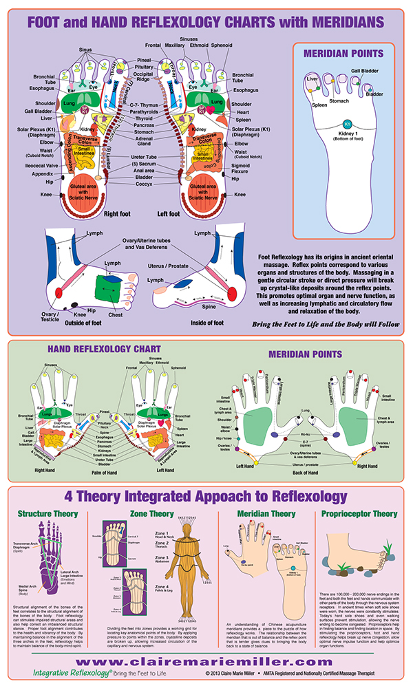 Reflexology Meridians Chart