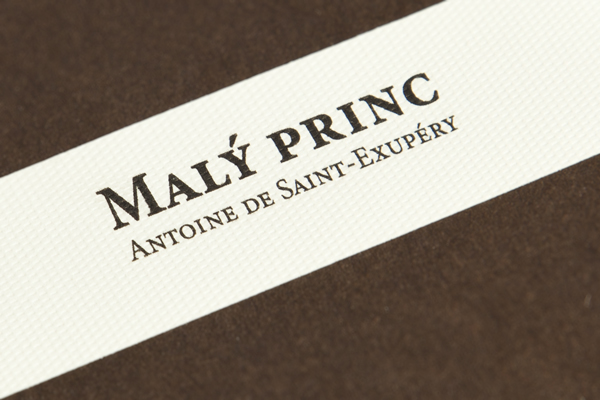 little prince Antoin Saint-Exupéry literature book hand-sewn paper craft