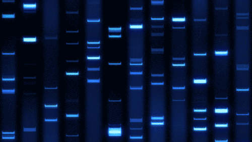 DNA Fingerprint Sequence on Behance