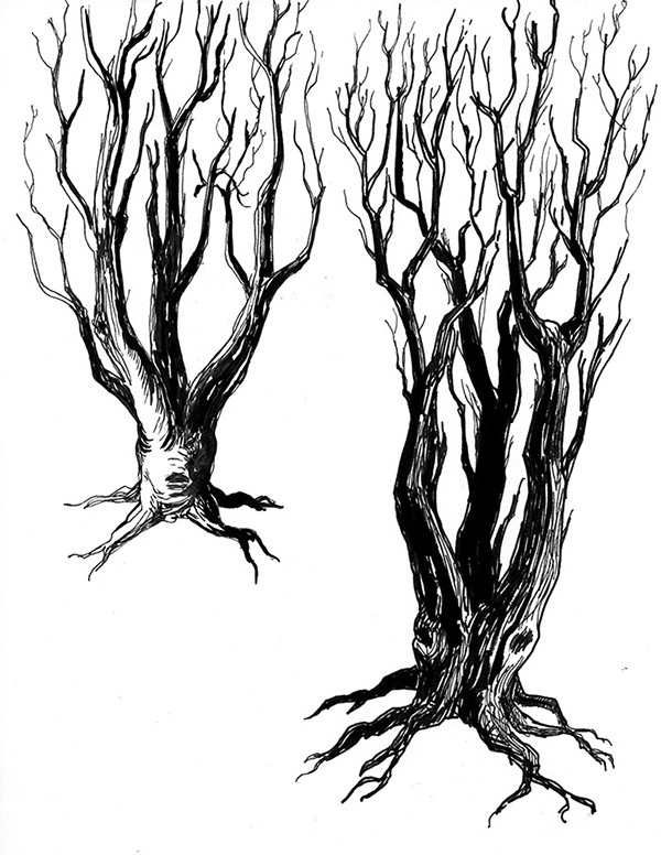 drawing of spooky tree