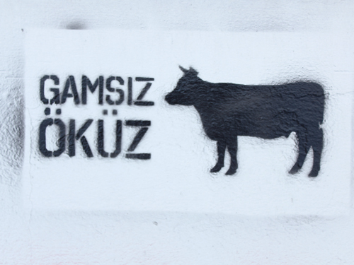 stencil Turkey Stencil istanbul stencil street art Turkey