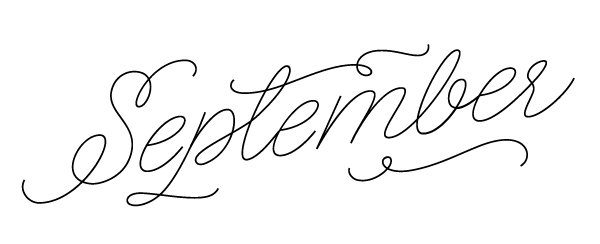 lettering Logo Design Logotype Script