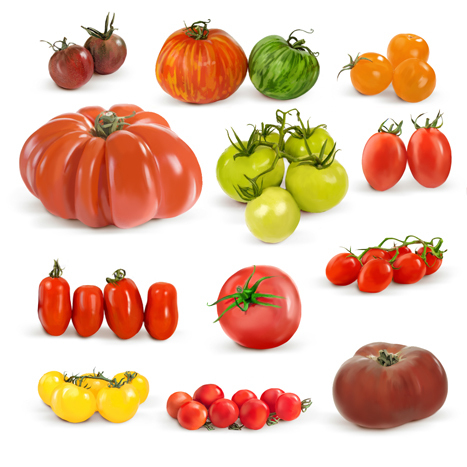 2D culinary encyclopedia Fruit Mukhina Polina vegetables spice