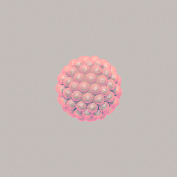 3D Render gif gifs animated motion timing particles MoGraph lowpoly Low Poly