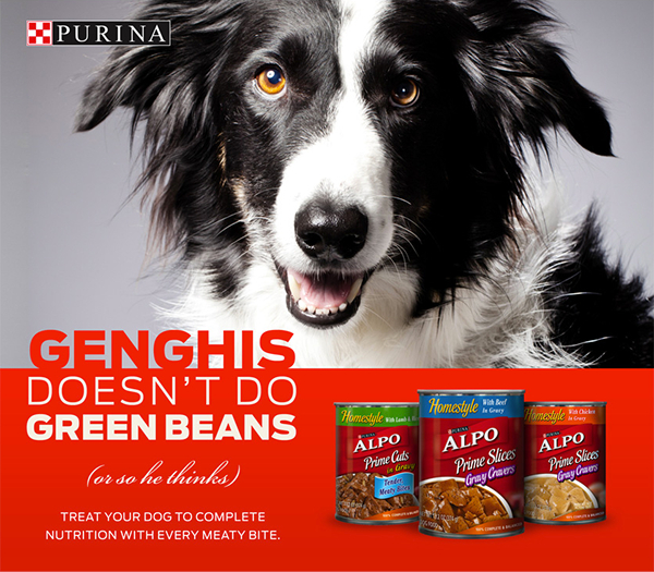 Purina ALPO pets pet food Retail shopper marketing dog food marketing   value green beans carrots potatoes nutrition taste