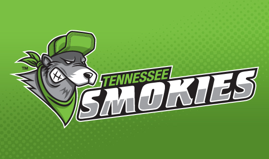 sports Sports Team Mascot baseball team logo Sports logo smokies Tennessee monogram type logo Logo Design Icon initials bear