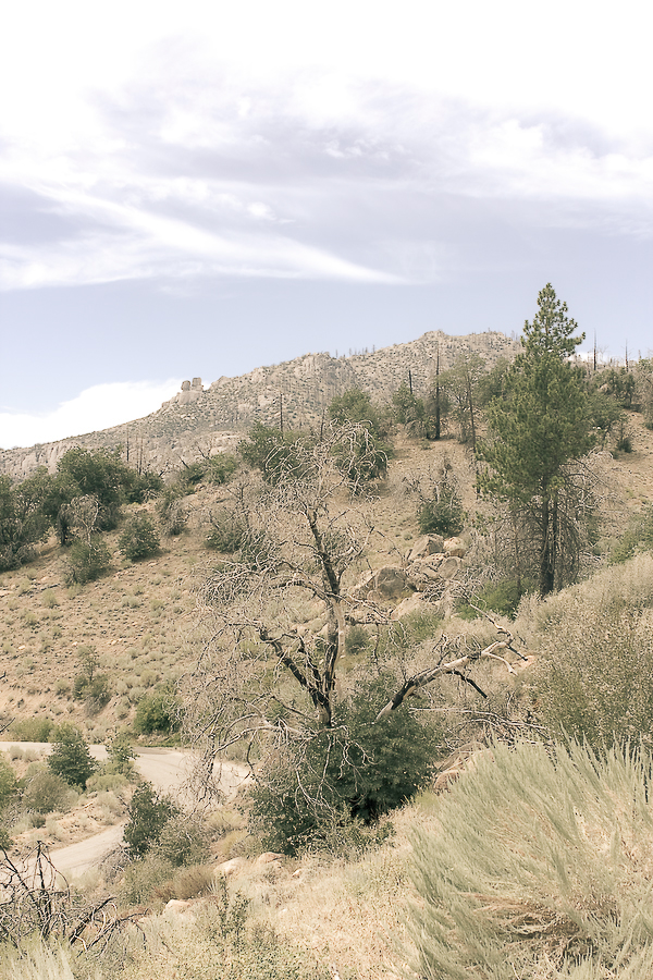 Travel California National Park road trip drive Landscape scenery