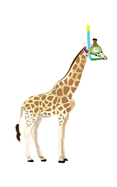 giraffe Audrey Hepburn dave matthews Multimedia 