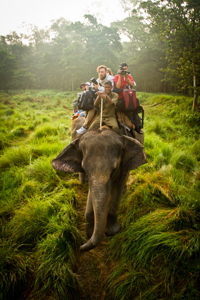 nepal Chitwan Travel elephants elephant Julian Bound safari