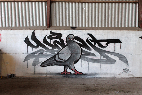 Pigeon Graffiti Piece