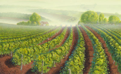Landscape  Illustration  Wine labels  mystery