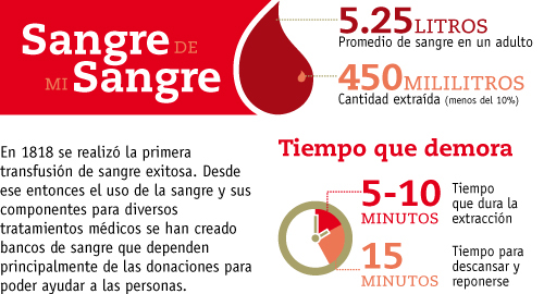 infographic  infografia  sangre  Blood   design  diseño  Peru