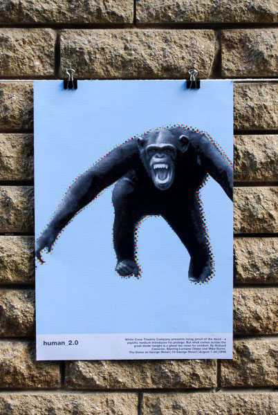 tamulewicz poster Fringe Layout dtp print Invisible Man pork
