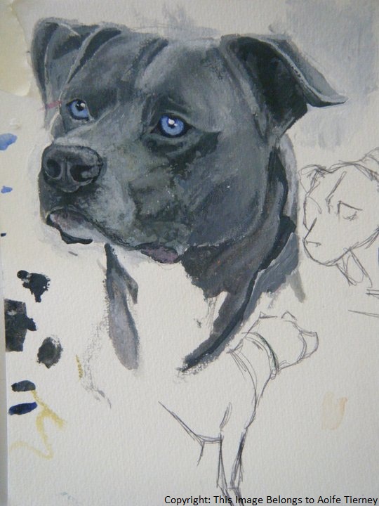 dog Dicrimination Paintings abstract Pit Bull