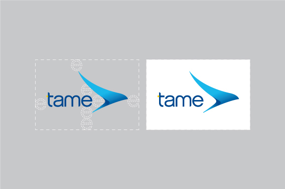 tame airline modern identity fresh Airpline Ecuador SKY uniform uniforms blue bird condor best strategy