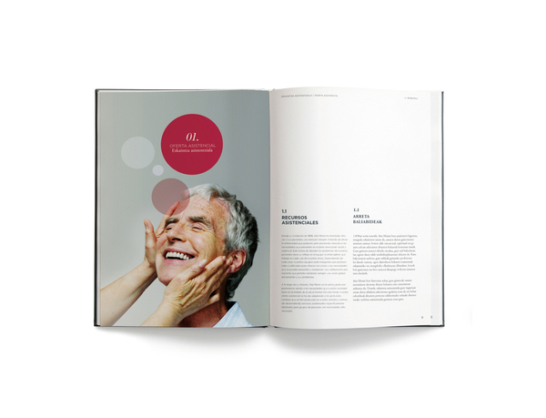 anual report identity brochure