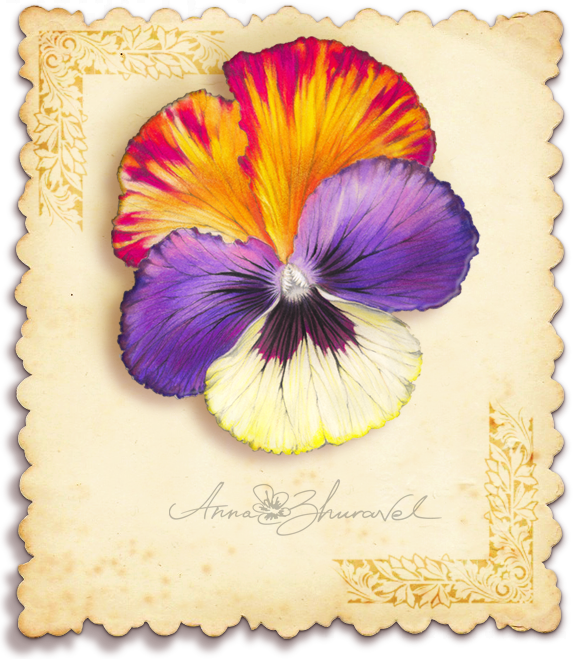 vintage card  angels  flowers   pastels