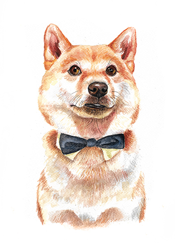 watercolor dogs portraits