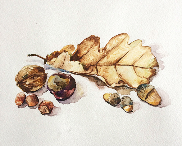 Pear autumn nuts acorns leaves jay bird watercolor