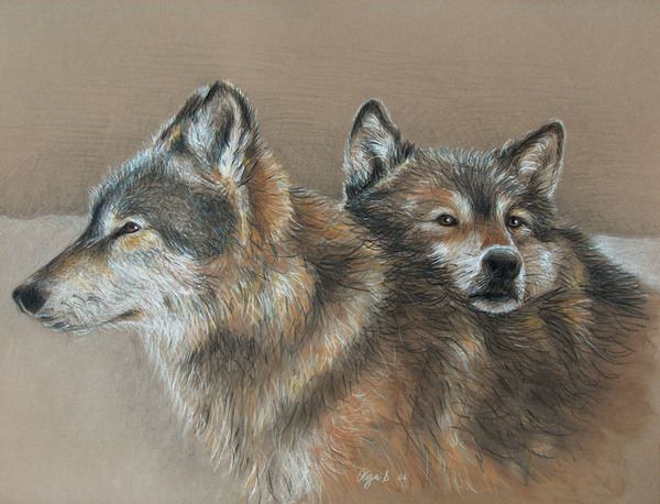 portrait animals people pencil Pastels traditional olechka