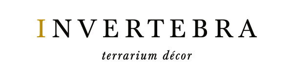 analog Invertebra identity Logotype logo interiors san pedro terrarium Succulents