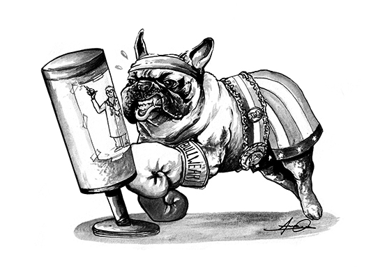 desenho draw frenchies French Bulldog French bulldog bouledogue cute funny costume creative dogs animals