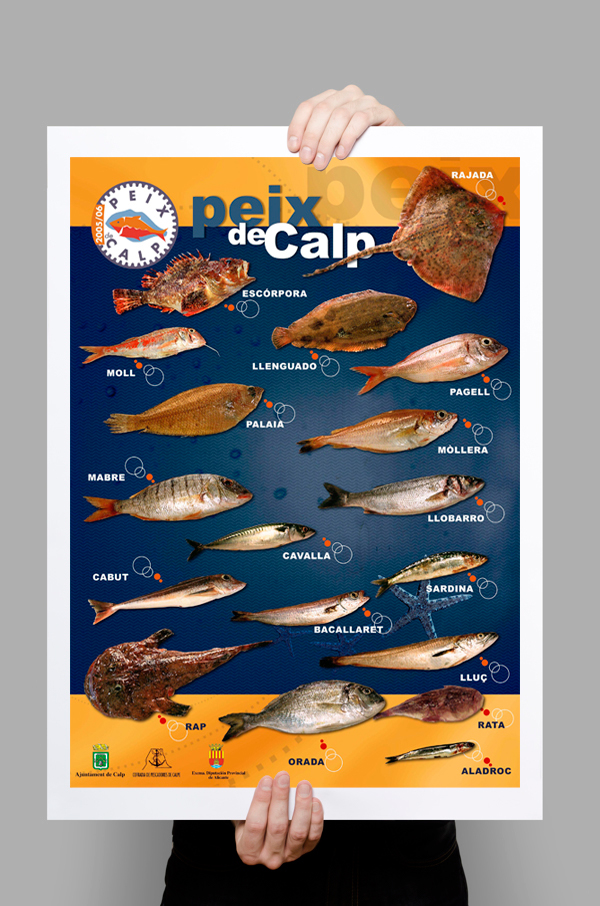 calp   peix de calp editorial design  Costa Blanca strategy communication alicante