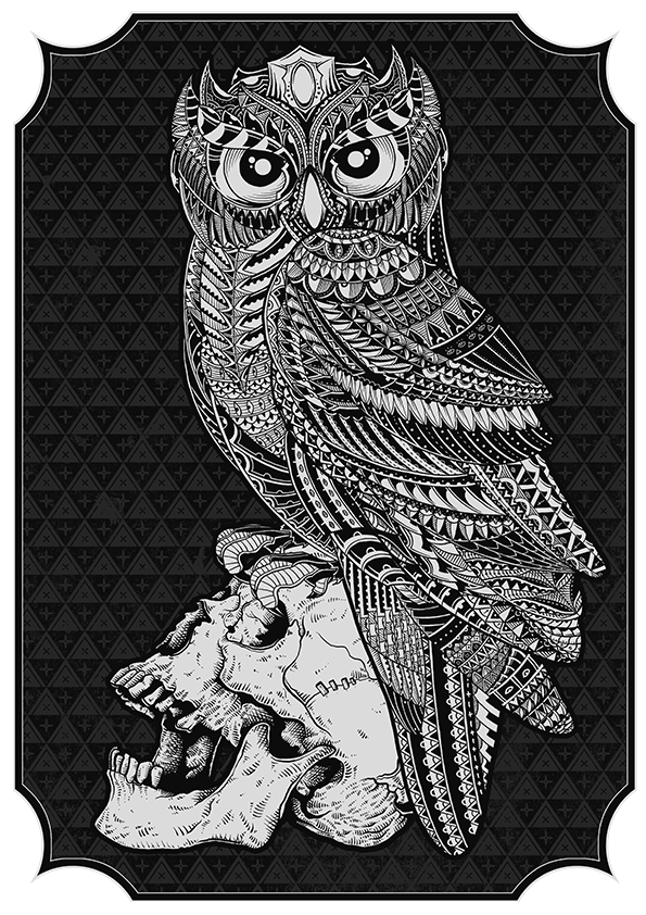 owl owls Love couple love story skull pattern animal history photoshop wacom