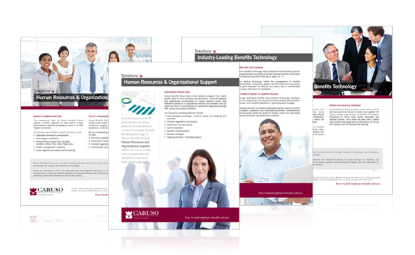 internal branding marketing   communications brochure sell sheet Website health care reform Legislative update Corporate Design
