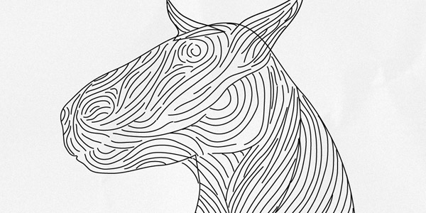 sea horse wyld stallyon muscle structure seahorse Ocean linework