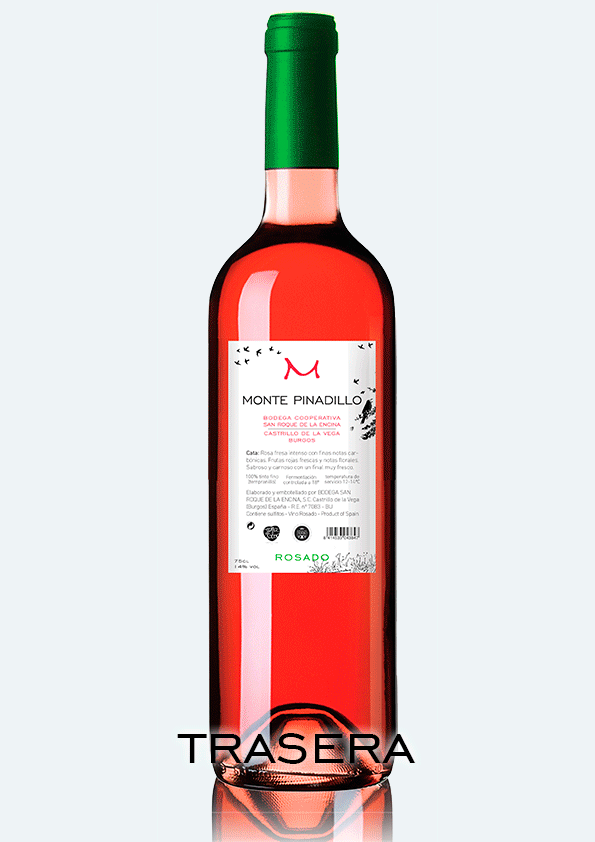brand identity design diseño diseño gráfico etiqueta identity ilustracion marca Packaging wine label