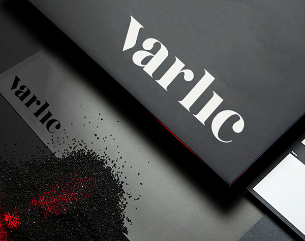 Verlic Business Identity Design