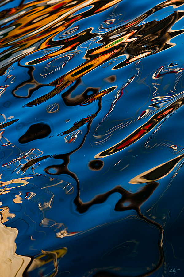 sea reflectable reflections gold shiny shine ray fish fishes